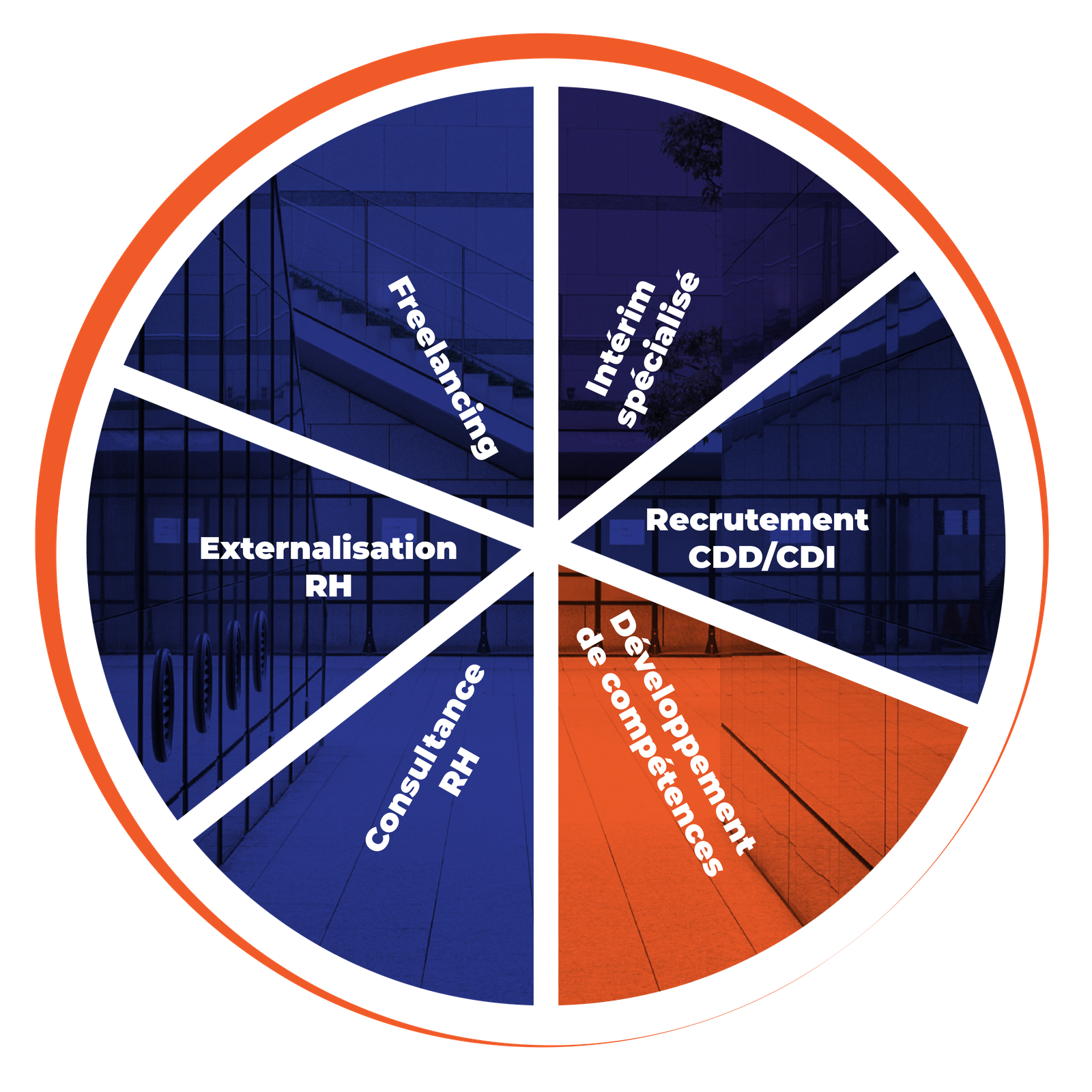 développement des compétences